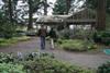 plant sale area-1